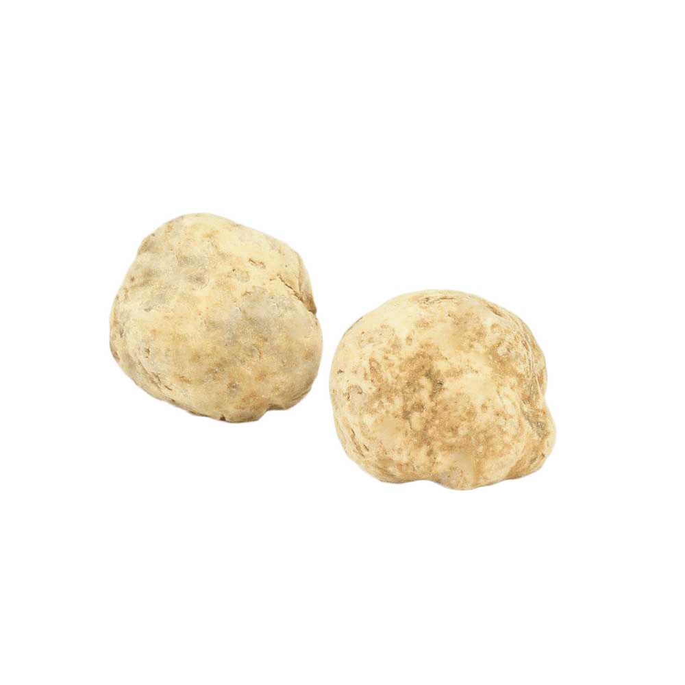 Fresh White Truffles 1 oz (Tuber Magnatum Pico) – Sabatino Truffles