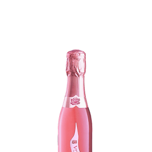 Bottega Prosecco 200mL